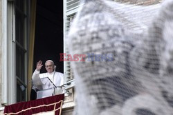 Pope Francis leads his first Angelus prayer 