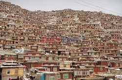 Seda Monastery, the largest Tibetan Buddhist school in the world