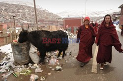 Seda Monastery, the largest Tibetan Buddhist school in the world