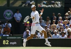 Wimbledon 2013