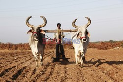 Rural Gujarat - India