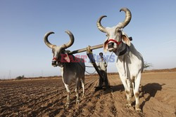 Rural Gujarat - India