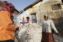 Rural Gujarat - India