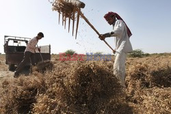 Rural Gujarat - India