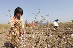 Rural Gujarat - India