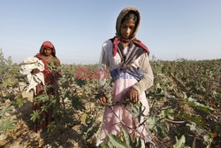 Rural Gujarat - India