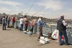 Turkey reportage