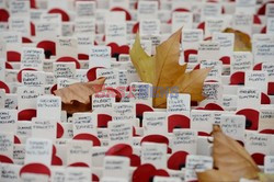 Poppy Day w Wielkiej Brytanii