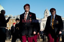 Poppy Day w Wielkiej Brytanii