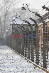 69. rocznica wyzwolenia Auschwitz