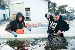 Hog Island Oyster Company