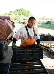 Hog Island Oyster Company