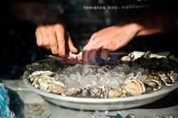 Hog Island Oyster Company