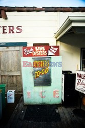 Hog Island Oyster Company