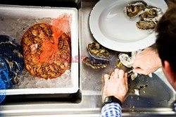 Hog Island Oyster Company