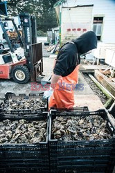 Hog Island Oyster Company