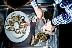 Hog Island Oyster Company