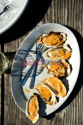 Hog Island Oyster Company