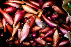 Point Reyes Farmers Market