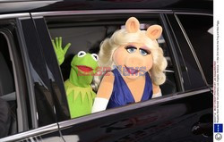 Premiera filmu Muppets Most Wanted