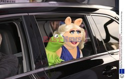 Premiera filmu Muppets Most Wanted