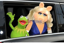 Premiera filmu Muppets Most Wanted