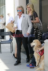 Rod Stewart i Penny Lancaster na zakupach