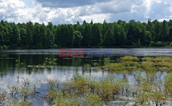 Podlasie Marek Bazak