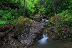 PIENINSKI PARK NARODOWY AdLa