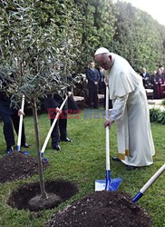 Spotkanie papieża Franciszka z Szimonem Peresem i Mahmudem Abbasem