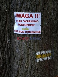 Puszcza Kampinoska KCh