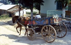 Turystyka w krajach demoludu