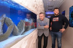 Gwiazdorskie Oceanarium