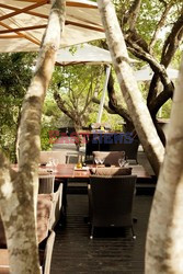 Phinda Resort - ekskluzywne wakacje w Afryce - Jalag Syndication