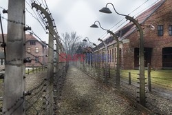 Miejsce Pamięci i Muzeum Auschwitz-Birkenau