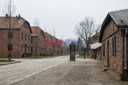 Miejsce Pamięci i Muzeum Auschwitz-Birkenau