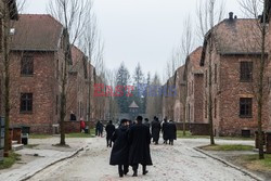 Miejsce Pamięci i Muzeum Auschwitz-Birkenau