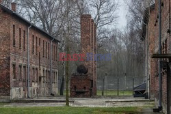 Miejsce Pamięci i Muzeum Auschwitz-Birkenau