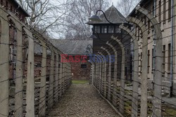 Miejsce Pamięci i Muzeum Auschwitz-Birkenau