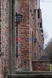 Miejsce Pamięci i Muzeum Auschwitz-Birkenau