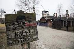 Miejsce Pamięci i Muzeum Auschwitz-Birkenau