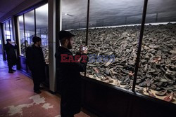 Miejsce Pamięci i Muzeum Auschwitz-Birkenau