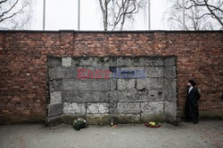 Miejsce Pamięci i Muzeum Auschwitz-Birkenau