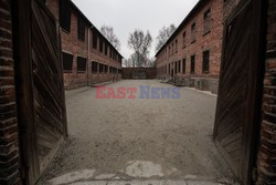 Miejsce Pamięci i Muzeum Auschwitz-Birkenau