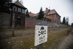 Miejsce Pamięci i Muzeum Auschwitz-Birkenau