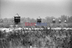 Miejsce Pamięci i Muzeum Auschwitz-Birkenau