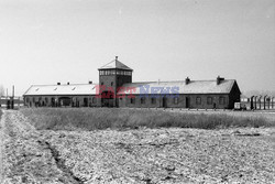 Miejsce Pamięci i Muzeum Auschwitz-Birkenau