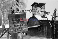 Miejsce Pamięci i Muzeum Auschwitz-Birkenau