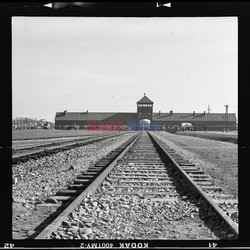 Miejsce Pamięci i Muzeum Auschwitz-Birkenau