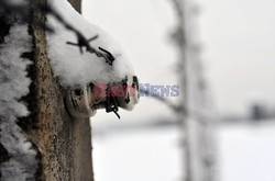 Miejsce Pamięci i Muzeum Auschwitz-Birkenau